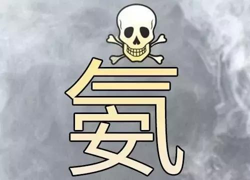 圖片4